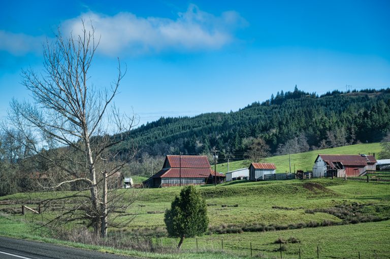 Yanasa TV, KGW8 and Oregon Small Farms: What We Got Wrong, What KGW Omitted and What the Records Show