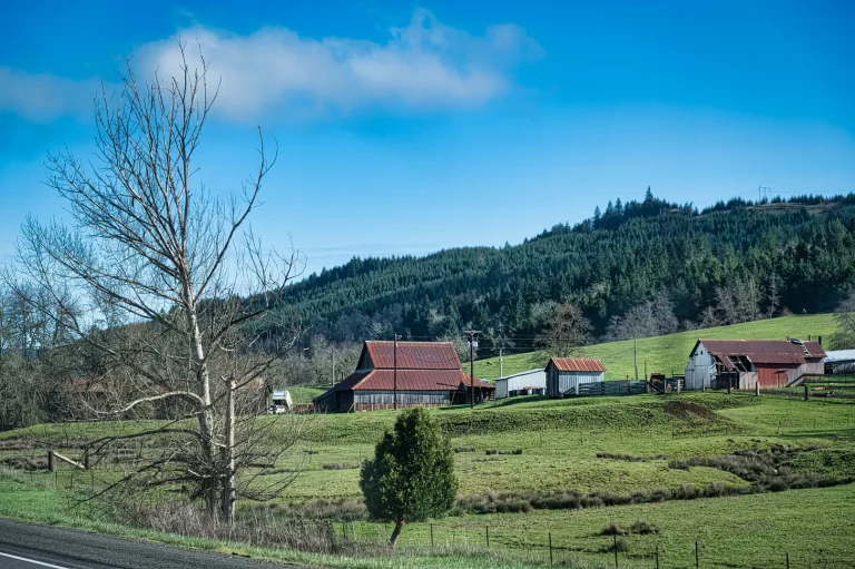 Washington’s Water Adjudication Battle Is a Threat to Farms and Food Security