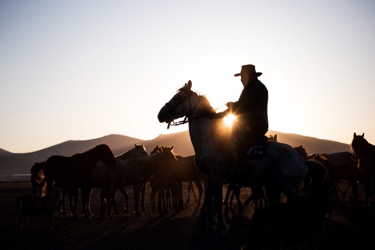 Secretary Rollins’ Plan Is a Lifeline for America’s Small Farmers