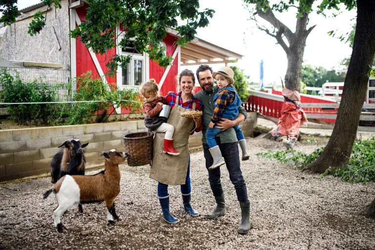 Deregulation Done Right: A Lifeline for America’s Family Farms