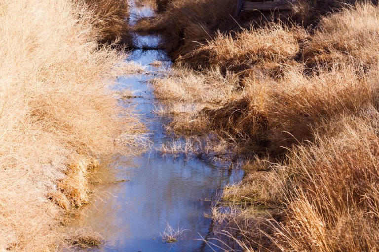 State-Sanctioned Trespass? Ranchers Fight Back Against Forced Public Access!