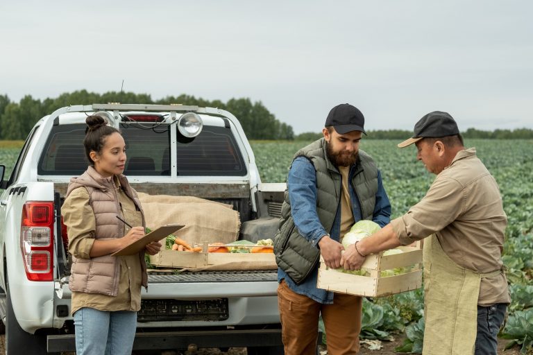 Maine’s Farmworker Minimum Wage Law Risks Harming Industry, Farmers, and Workers