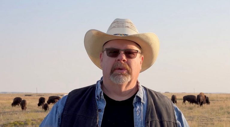 Bison, Banned? How Misinformation Threatens America’s Greatest Conservation Story