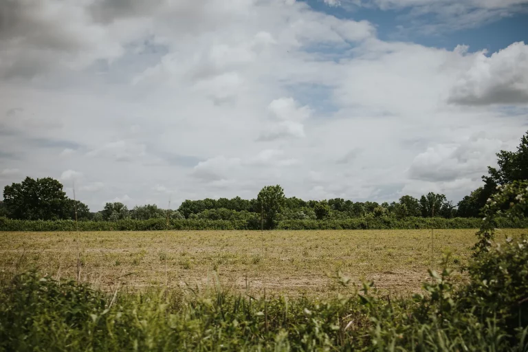 State Governments shutdown farms “They promised us it was good for the soil…”