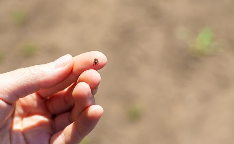 When meat turns against us. The Strange Rise of Alpha-Gal Syndrome and the War on Meat