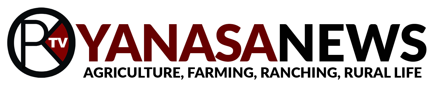 Yanasa TV News