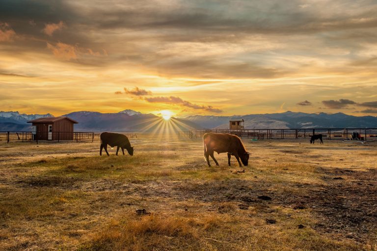Colorado’s Ballot Proposal Is a Trojan Horse for Land Seizure, Not Conservation