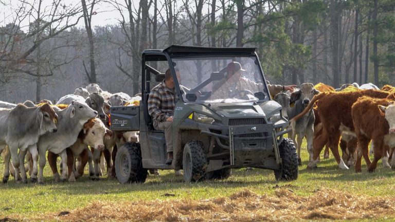 Cultivating a Better Tomorrow: The Stories That Could Save Our Soil