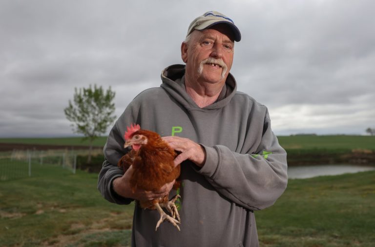 Jailed for Fighting the Egg Cartel?