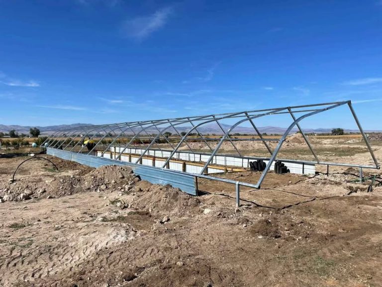 Green Houses are Illegal “Dangerous” Structures