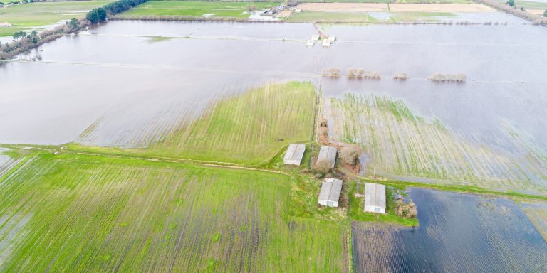 Washed Out: Record May Rains Leave U.S. Farmers Reeling—What Happens Next?