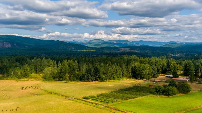 Breaking the Harvest: How Washington’s Farm Losses Reveal a National Crisis of Policy, Consolidation, and Rural Mental Health