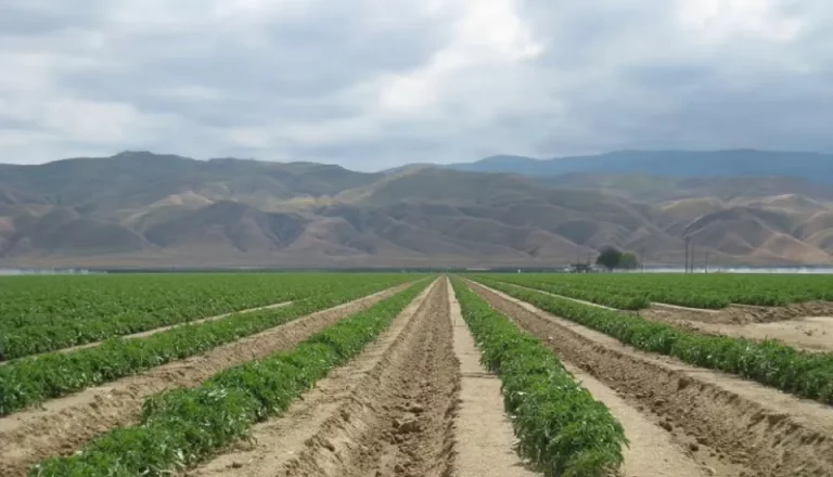Ninth Circuit reaffirms Clean Water Act carve-out for irrigated agriculture — and why it matters on the ground