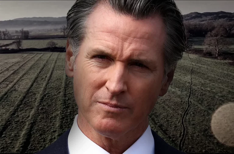 “Agricultural Equity” in California: Blueprint, Backdrop, and the Quiet Levers That Move Land