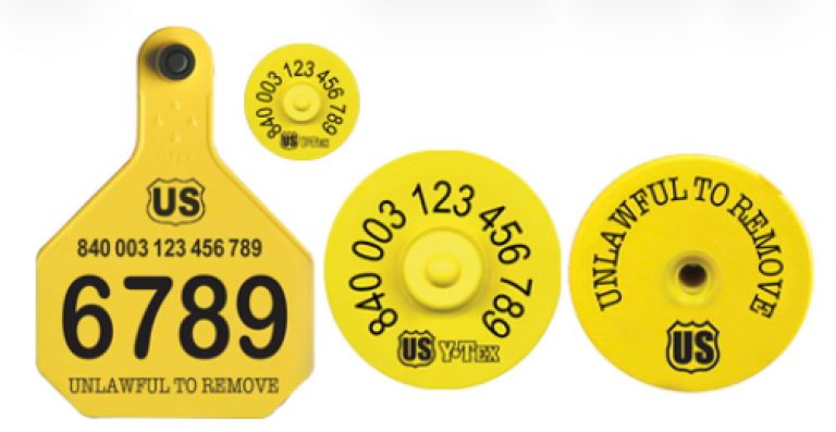 The Digital Ear Tag Showdown