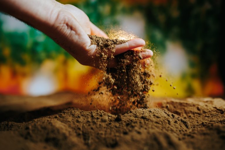 Rewriting the Dirt: Engineered Soil Microbes Are Here. What Do We Really Know?