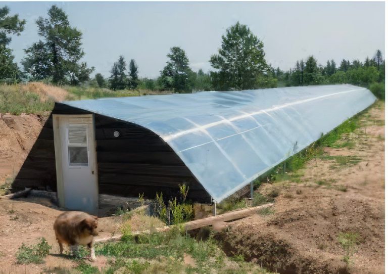 When Your Neighbor Is Also the Regulator