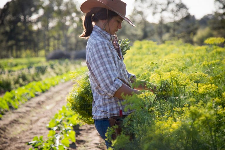 Agricultural Exemptions That Don’t Exempt Anymore