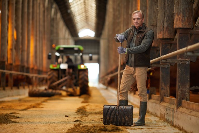 The Nitrogen Ultimatum: How a Dutch Court Put a Deadline on Nature Targets—and Farmers Back on the Firing Line