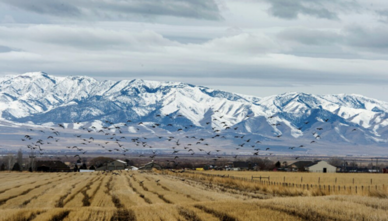 Utah Lawmakers Push for Data-Center Water Transparency as AI Infrastructure Expands