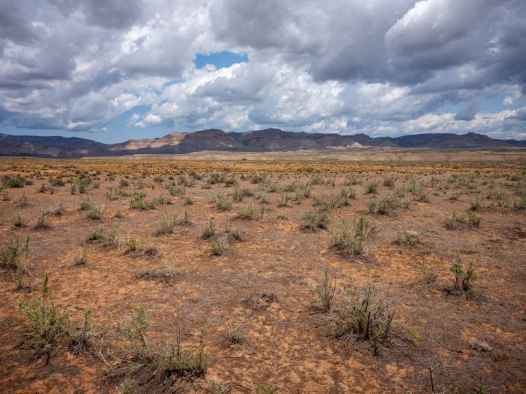 “How Ranchers Dodge Oversight”—or How a Narrative Dodges Half the Story