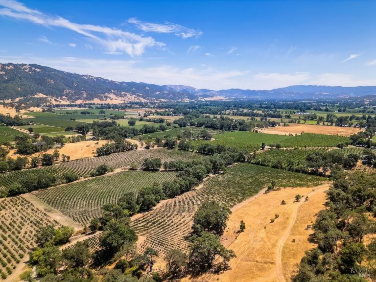 5 CFS to Nowhere: How PG&E and Sacramento Are Draining Potter Valley (and California’s Food Supply)