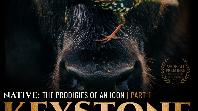 Why We Made Native — and Why It Needed Its Own Channel